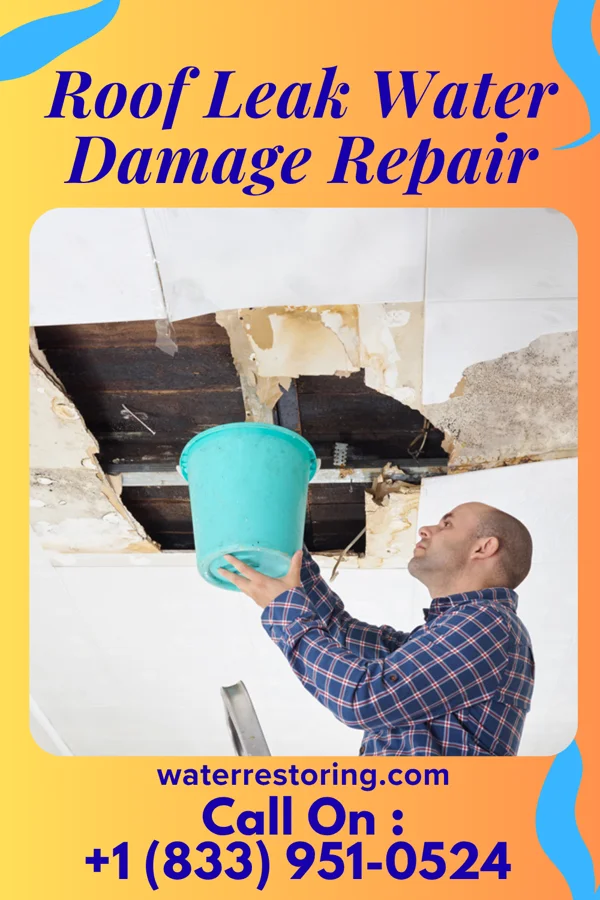 Roof Leak Water Damage Repair in Weeki Wachee Gardens, FL