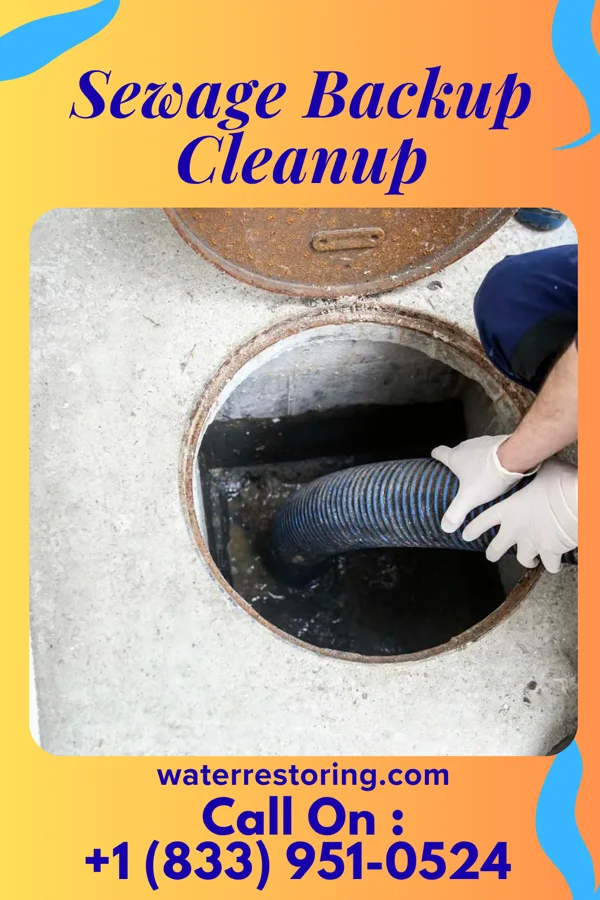 Sewage Backup Cleanup in Weeki Wachee Gardens, FL